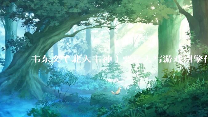 韦东奕（北大韦神）要是去写游戏引擎代码，能不能把虚幻引擎按在地上摩擦？数学好真能‘降维打击吗？