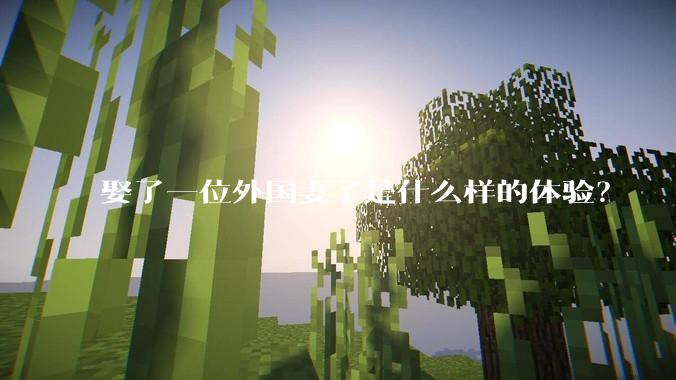 娶了一位外国妻子是什么样的体验？