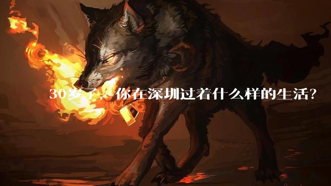 30岁了，你在深圳过着什么样的生活？