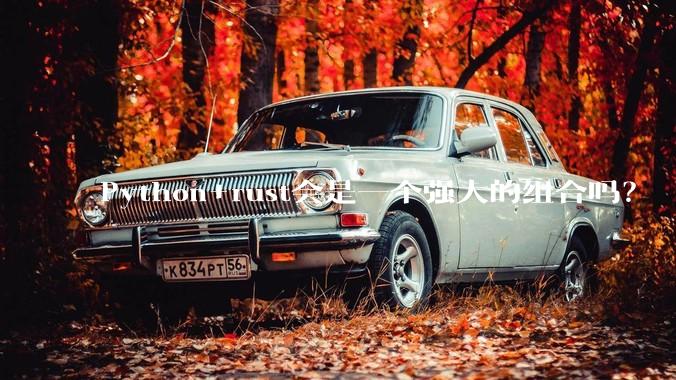 Python+rust会是一个强大的组合吗？