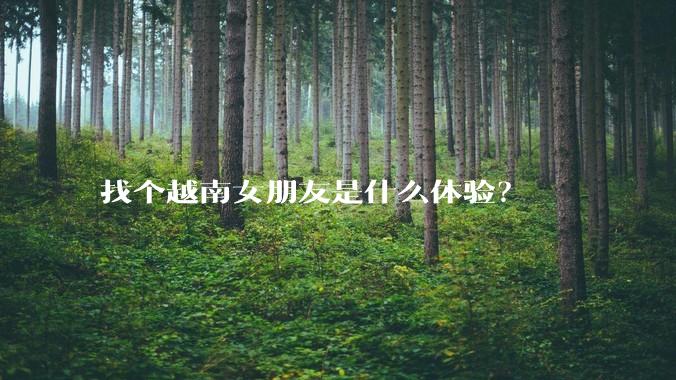 找个越南女朋友是什么体验？